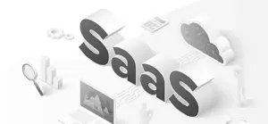SaaS development