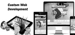 Custom website development